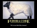 fedora.thumbnail Posters anti-Linux