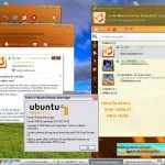 ubuntu human