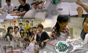 collage_images