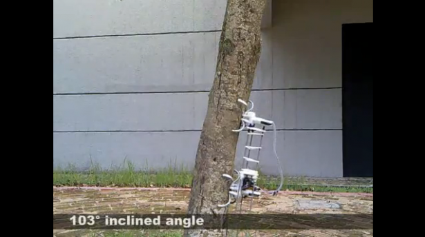Treebot, el robot escalador de árboles rob 615x344 Treebot, el robot escalador de árboles