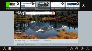 screenshot_IE10_web