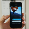 vine1