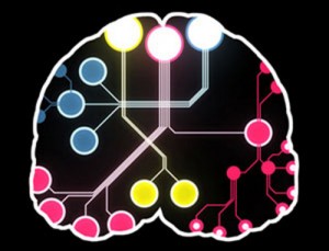 human connectome project