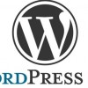 Actualización Wordpress 3.0