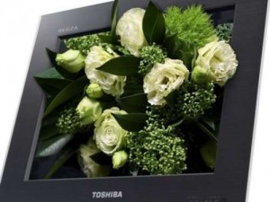 Toshiba 3D