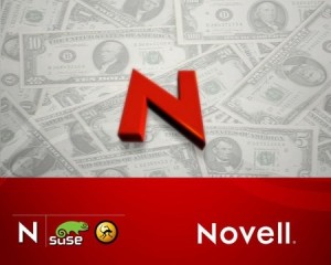 novel