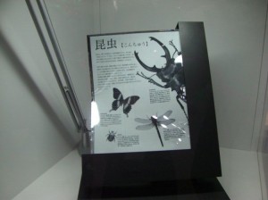 sony-flexible-epaper