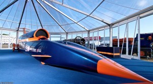 bloodhound-2011-01-18