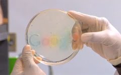 google-logo-bacteria
