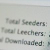 seeders-leechers