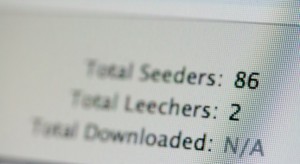 seeders-leechers