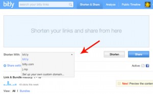 bitly_domain_selector_540w
