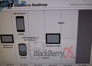RIM-ROADMAP