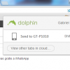 Dolphin1