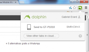 Dolphin1